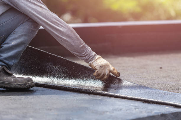 Professional Interior Drainage System technician working in Rossville, IN
